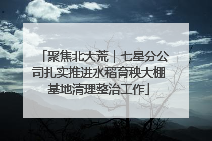 聚焦北大荒｜七星分公司扎实推进水稻育秧大棚基地清理整治工作