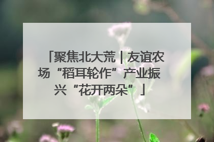 聚焦北大荒｜友谊农场“稻耳轮作”产业振兴“花开两朵”