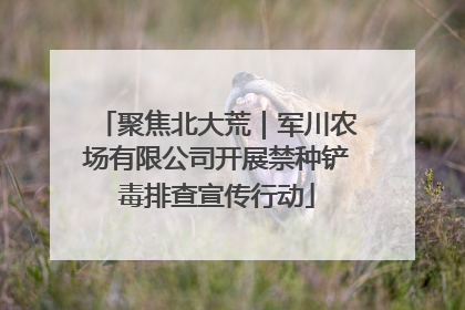 聚焦北大荒｜军川农场有限公司开展禁种铲毒排查宣传行动