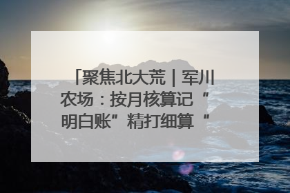 聚焦北大荒｜军川农场：按月核算记“明白账”精打细算“过紧日子”