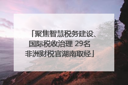 聚焦智慧税务建设、国际税收治理 29名非洲财税官湖南取经