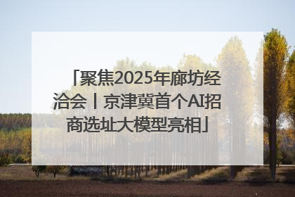 聚焦2025年廊坊经洽会丨京津冀首个AI招商选址大模型亮相