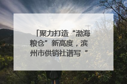 聚力打造“渤海粮仓”新高度，滨州市供销社谱写“三夏”丰收乐章