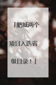 肥城两个项目入选省级目录！