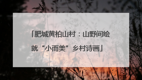 肥城黄柏山村：山野间绘就“小而美”乡村诗画