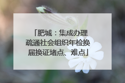 肥城：集成办理 疏通社会组织年检换届换证堵点、难点