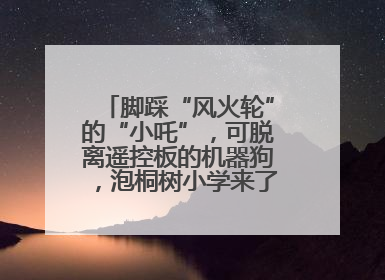 脚踩“风火轮”的“小吒”，可脱离遥控板的机器狗，泡桐树小学来了新朋友！