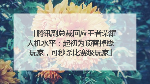 腾讯副总裁回应王者荣耀人机水平：起初为顶替掉线玩家，可秒杀比赛级玩家
