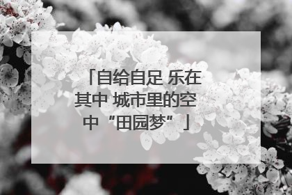 自给自足 乐在其中 城市里的空中“田园梦”