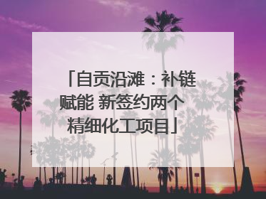 自贡沿滩：补链赋能 新签约两个精细化工项目