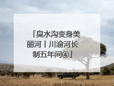臭水沟变身美丽河丨川渝河长制五年间④