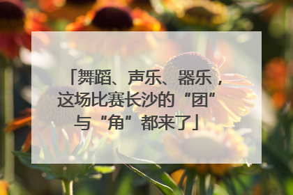 舞蹈、声乐、器乐，这场比赛长沙的“团”与“角”都来了