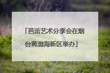 芭蕾艺术分享会在烟台黄渤海新区举办