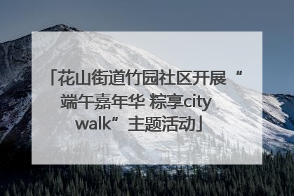 花山街道竹园社区开展“端午嘉年华 粽享city walk”主题活动