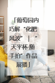 葡萄园内巧解“化肥风波”｜“天平杯·随手拍”作品展播