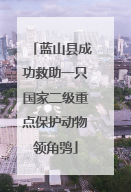 蓝山县成功救助一只国家二级重点保护动物领角鸮