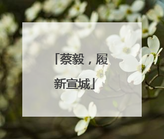 蔡毅，履新宣城