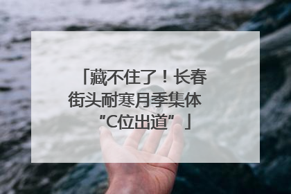 藏不住了！长春街头耐寒月季集体“C位出道”