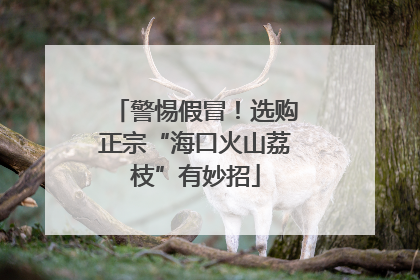 警惕假冒！选购正宗“海口火山荔枝”有妙招