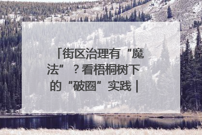 街区治理有“魔法”？看梧桐树下的“破圈”实践｜我在街区当书记