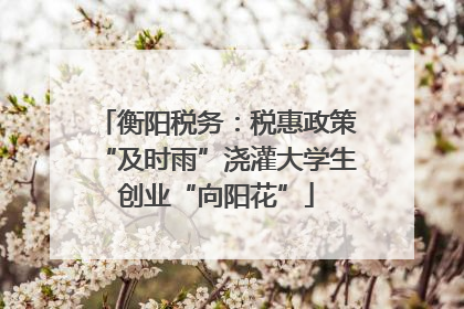 衡阳税务：税惠政策“及时雨”浇灌大学生创业“向阳花”