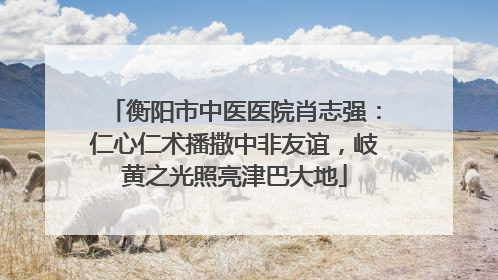 衡阳市中医医院肖志强：仁心仁术播撒中非友谊，岐黄之光照亮津巴大地