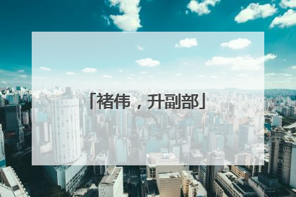 褚伟，升副部