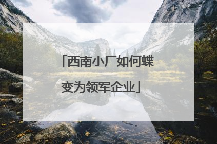 西南小厂如何蝶变为领军企业