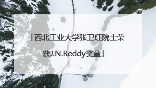 西北工业大学张卫红院士荣获J.N.Reddy奖章