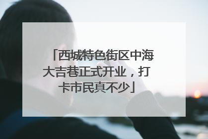 西城特色街区中海大吉巷正式开业，打卡市民真不少