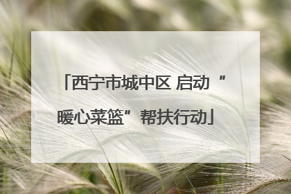 西宁市城中区 启动“暖心菜篮”帮扶行动