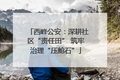 西峰公安：深耕社区“责任田” 筑牢治理“压舱石”