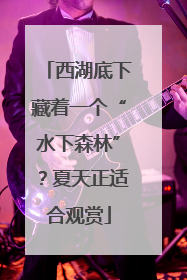 西湖底下藏着一个“水下森林”？夏天正适合观赏