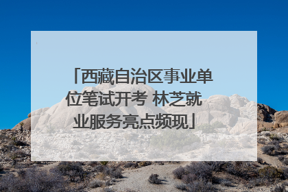 西藏自治区事业单位笔试开考 林芝就业服务亮点频现