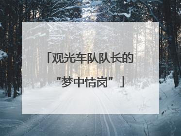 观光车队队长的“梦中情岗”