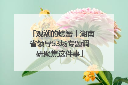 观潮的螃蟹丨湖南省领导53场专题调研聚焦这件事