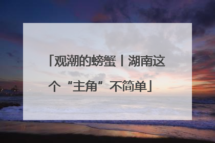 观潮的螃蟹丨湖南这个“主角”不简单