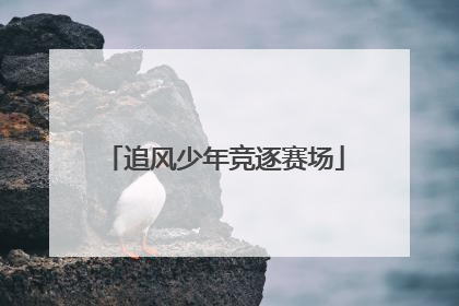 追风少年竞逐赛场