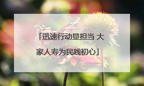 迅速行动显担当 大家人寿为民践初心