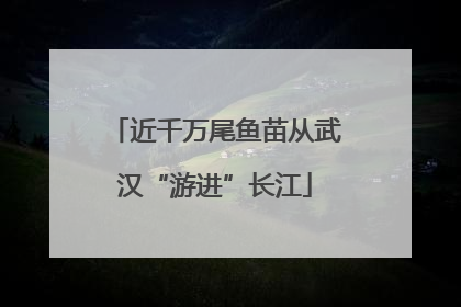 近千万尾鱼苗从武汉“游进”长江