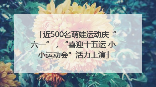 近500名萌娃运动庆“六一”，“喜迎十五运 小小运动会”活力上演