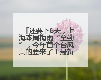还要下6天，上海本周梅雨“全勤”，今年首个台风真的要来了！最新研判→