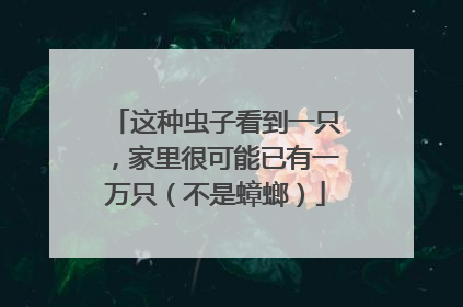 这种虫子看到一只，家里很可能已有一万只（不是蟑螂）