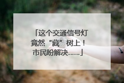 这个交通信号灯竟然“藏”树上！市民盼解决……