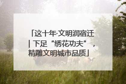 这十年·文明润宿迁｜下足“绣花功夫”，精雕文明城市品质
