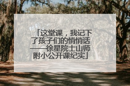 这堂课，我记下了孩子们的悄悄话——徐星院士山师附小公开课纪实