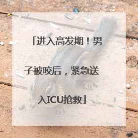 进入高发期！男子被咬后，紧急送入ICU抢救