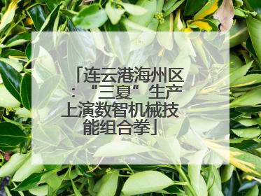 连云港海州区：“三夏”生产上演数智机械技能组合拳