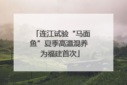 连江试验“马面鱼”夏季高温混养 为福建首次