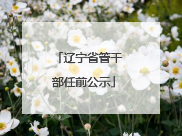 辽宁省管干部任前公示